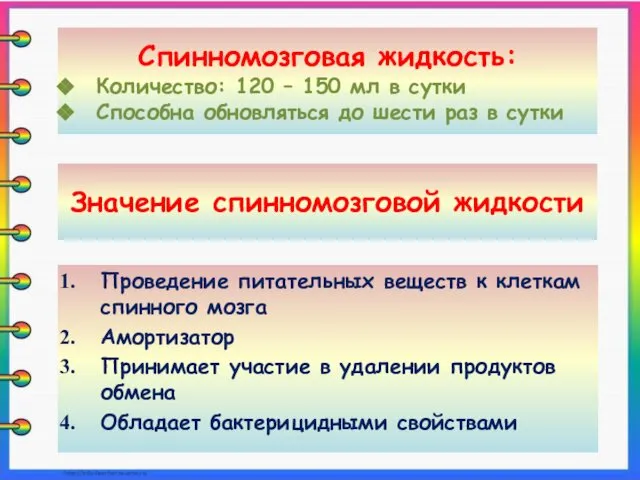 Значение спинномозговой жидкости Проведение питательных веществ к клеткам спинного мозга Амортизатор