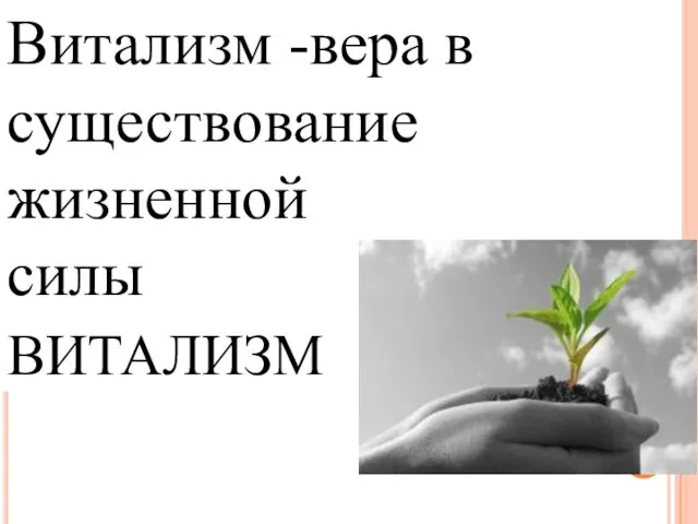 3.ВИТАЛИЗМ Витализм -вера в существование жизненной силы