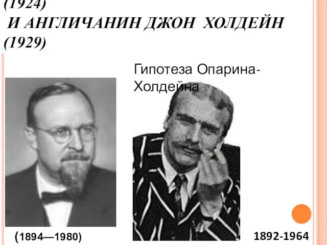 АЛЕКСАНДР ИВАНОВИЧ ОПАРИН (1924) И АНГЛИЧАНИН ДЖОН ХОЛДЕЙН (1929) (1894—1980) 1892-1964 Гипотеза Опарина-Холдейна