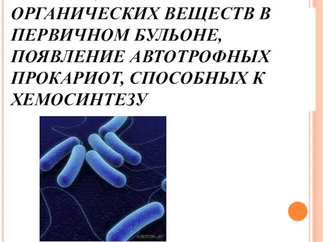 2. ИСТОЩЕНИЕ ЗАПАСОВ ОРГАНИЧЕСКИХ ВЕЩЕСТВ В ПЕРВИЧНОМ БУЛЬОНЕ, ПОЯВЛЕНИЕ АВТОТРОФНЫХ ПРОКАРИОТ, СПОСОБНЫХ К ХЕМОСИНТЕЗУ