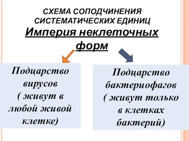 СХЕМА СОПОДЧИНЕНИЯ СИСТЕМАТИЧЕСКИХ ЕДИНИЦ Империя неклеточных форм Царство Вирусов Подцарство вирусов