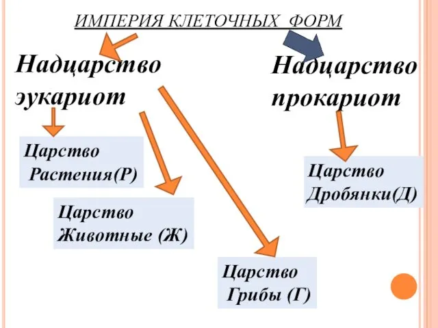 ИМПЕРИЯ КЛЕТОЧНЫХ ФОРМ Надцарство эукариот Надцарство прокариот Царство Растения(Р) Царство Животные