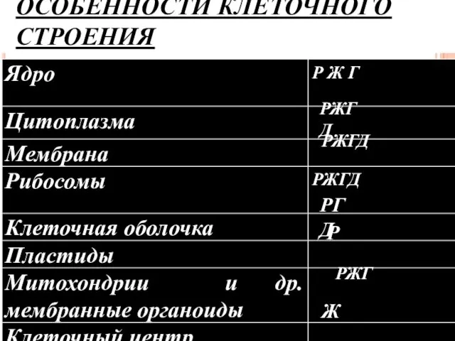 ОСОБЕННОСТИ КЛЕТОЧНОГО СТРОЕНИЯ РЖГД РГД Р Ж РЖГД РЖГ