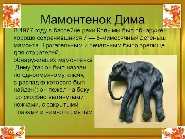 Мамонтенок Дима В 1977 году в бассейне реки Колымы был обнаружен