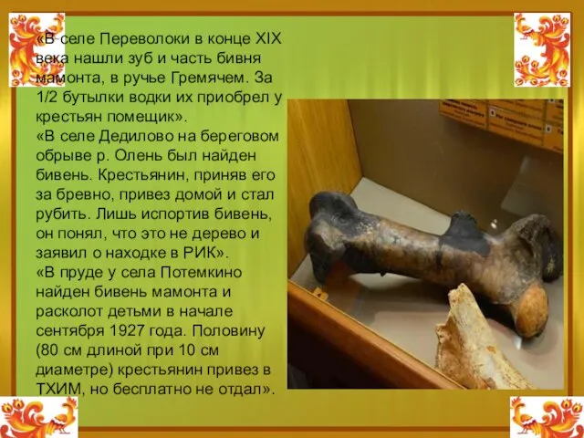 «В селе Переволоки в конце XIX века нашли зуб и часть