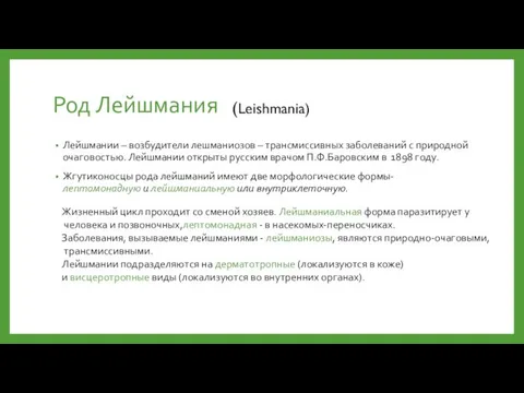 Род Лейшмания Лейшмании – возбудители лешманиозов – трансмиссивных заболеваний с природной