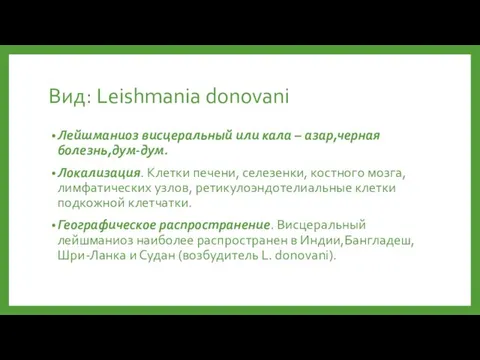 Вид: Leishmania donovani Лейшманиоз висцеральный или кала – азар,черная болезнь,дум-дум. Локализация.