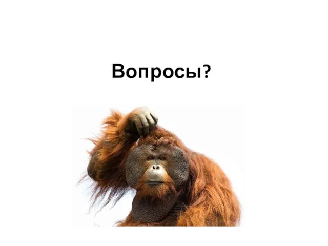 Вопросы?