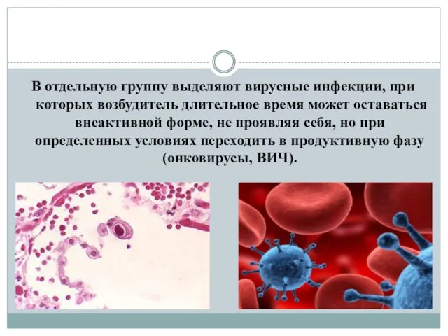 В отдельную группу выделяют вирусные инфекции, при которых возбудитель длительное время