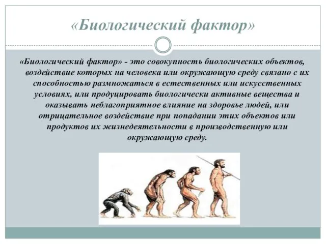 «Биологический фактор» «Биологический фактор» - это совокупность биологических объектов, воздействие которых