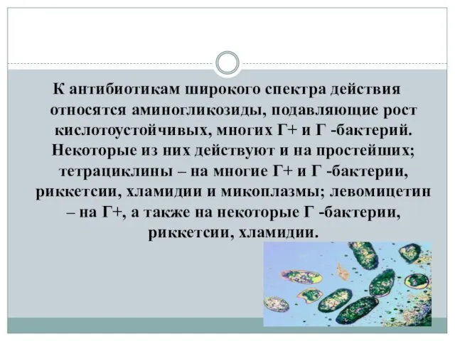 К антибиотикам широкого спектра действия относятся аминогликозиды, подавляющие рост кислотоустойчивых, многих