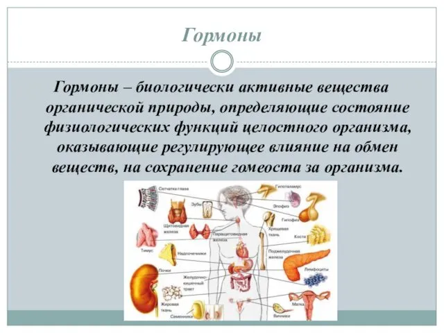 Гормоны Гормоны – биологически активные вещества органической природы, определяющие состояние физиологических