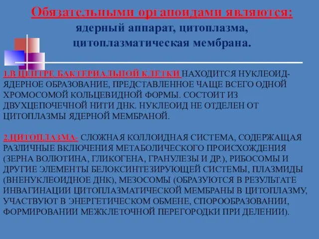 1.В ЦЕНТРЕ БАКТЕРИАЛЬНОЙ КЛЕТКИ НАХОДИТСЯ НУКЛЕОИД- ЯДЕРНОЕ ОБРАЗОВАНИЕ, ПРЕДСТАВЛЕННОЕ ЧАЩЕ ВСЕГО