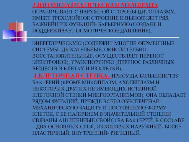 3.ЦИТОПЛАЗМАТИЧЕСКАЯ МЕМБРАНА ОГРАНИЧИВАЕТ С НАРУЖНОЙ СТОРОНЫ ЦИТОПЛАЗМУ, ИМЕЕТ ТРЕХСЛОЙНОЕ СТРОЕНИЕ И