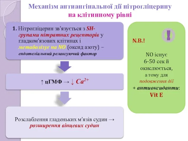 Механізм антиангінальної дії нітрогліцерину на клітинному рівні N.B.! NO існує 6-50