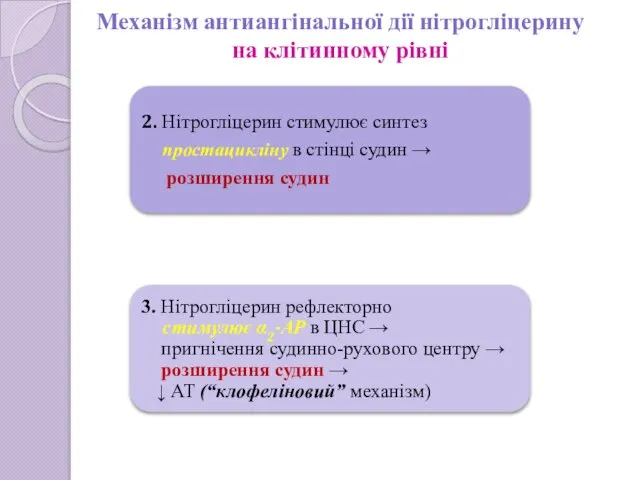 Механізм антиангінальної дії нітрогліцерину на клітинному рівні