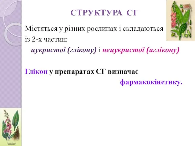 СТРУКТУРА СГ Містяться у різних рослинах і складаються із 2-х частин: