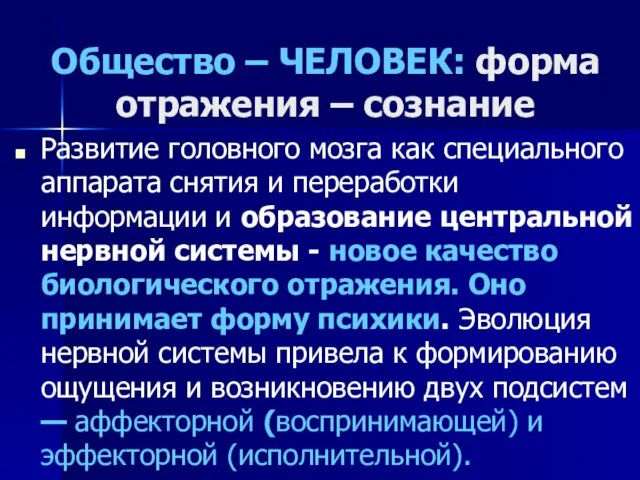 Общество – ЧЕЛОВЕК: форма отражения – сознание Развитие головного мозга как