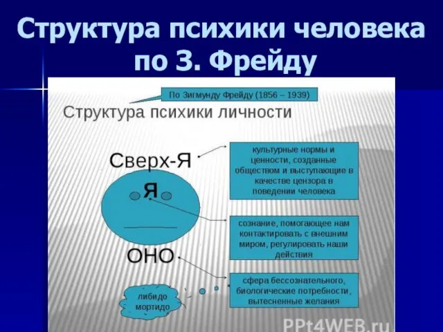 Структура психики человека по З. Фрейду