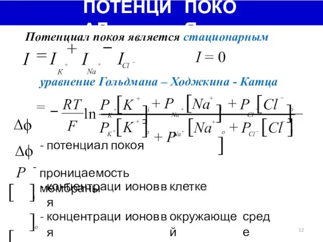 ПОТЕНЦИАЛ ПОКОЯ Потенциал покоя является стационарным I = 0 = −