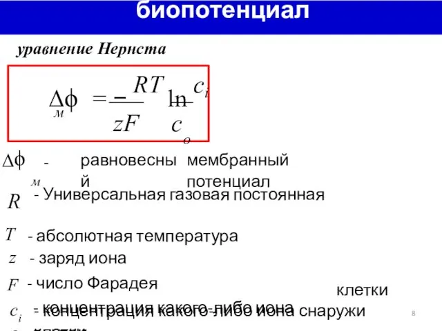 биопотенциалы уравнение Нернста м zF с Δϕ м - равновесный мембранный