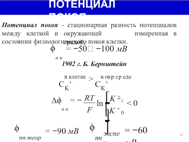 ПОТЕНЦИАЛ ПОКОЯ Потенциал покоя - стационарная разность потенциалов между клеткой и