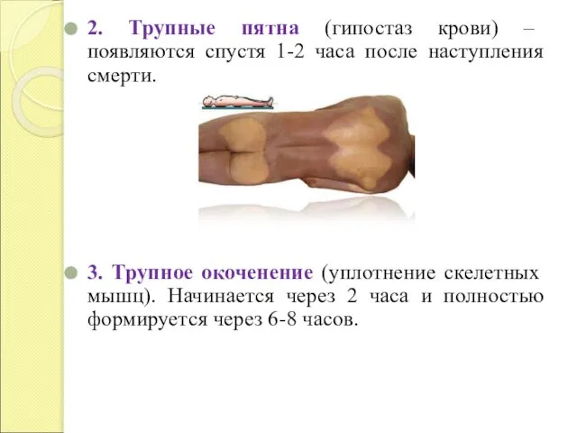 2. Трупные пятна (гипостаз крови) – появляются спустя 1-2 часа после