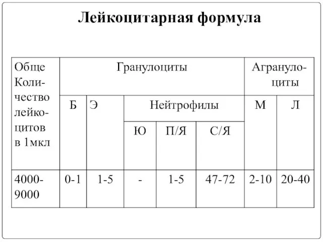 Лейкоцитарная формула