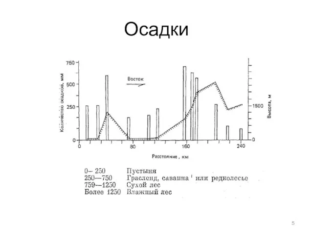 Осадки