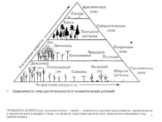 Зависимость типа растительности от климатических условий *АРИДНОСТЬ (СУХОСТЬ) (от латинского aridus