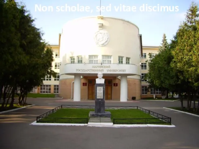 Non scholae, sed vitae discimus