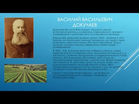 ВАСИЛИЙ ВАСИЛЬЕВИЧ ДОКУЧАЕВ Докучаев Василий Васильевич –русский ученый-естествоиспытатель, основатель современного научного