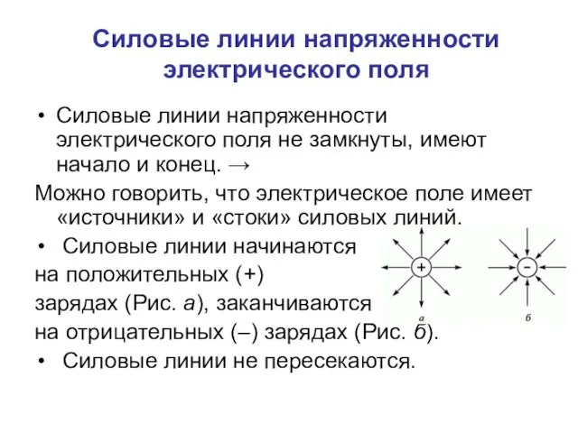 Силовые линии напряженности электрического поля Силовые линии напряженности электрического поля не