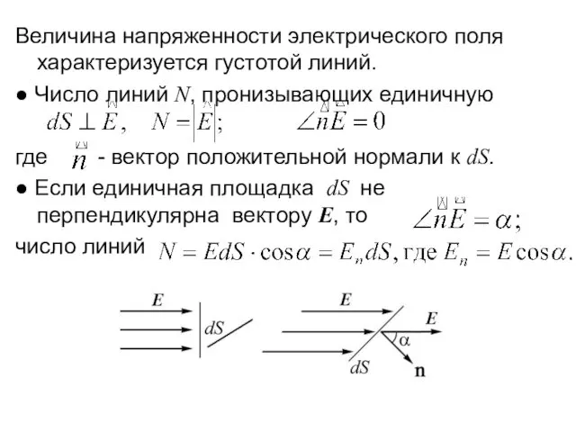 Величина напряженности электрического поля характеризуется густотой линий. ● Число линий N,