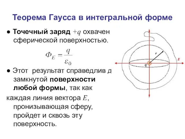 Теорема Гаусса в интегральной форме ● Точечный заряд +q охвачен сферической