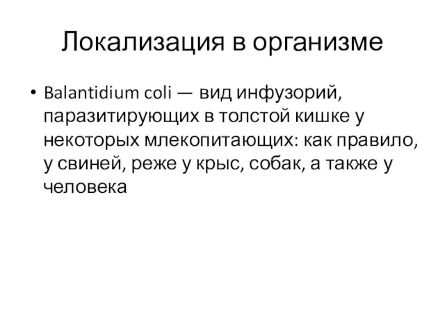 Локализация в организме Balantidium coli — вид инфузорий, паразитирующих в толстой