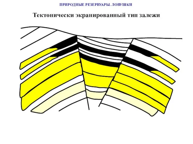 ПРИРОДНЫЕ РЕЗЕРВУАРЫ. ЛОВУШКИ Тектонически экранированный тип залежи