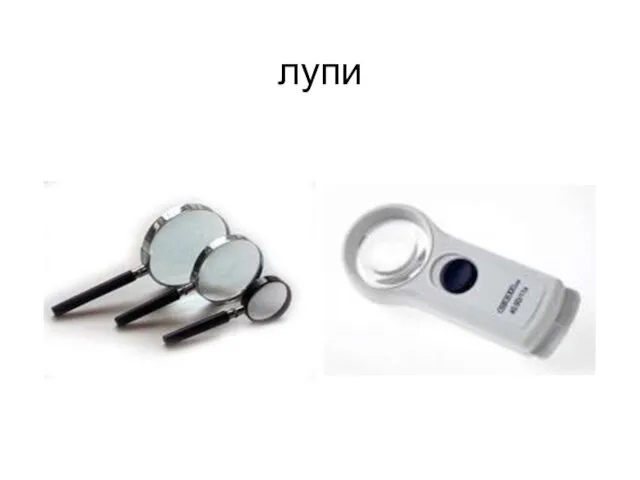 лупи