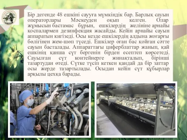 Бір дегенде 48 ешкіні саууға мүмкіндік бар. Барлық сауын операторлары Мәскеуден