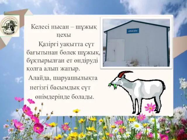 Келесі нысан – шұжық цехы Қазіргі уақытта сүт бағытынан бөлек шұжық,