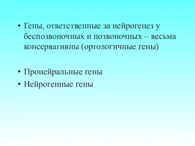 Гены, ответственные за нейрогенез у беспозвоночных и позвоночных – весьма консервативны