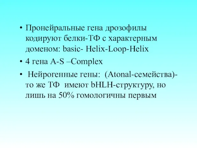 Пронейральные гена дрозофилы кодируют белки-ТФ с характерным доменом: basic- Helix-Loop-Helix 4