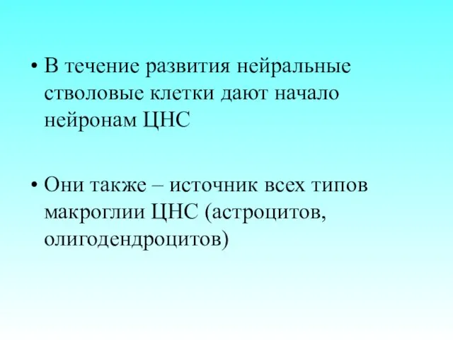 В течение развития нейральные стволовые клетки дают начало нейронам ЦНС Они