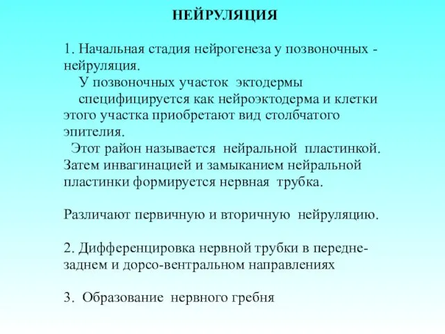 НЕЙРУЛЯЦИЯ 1. Начальная стадия нейрогенеза у позвоночных - нейруляция. У позвоночных