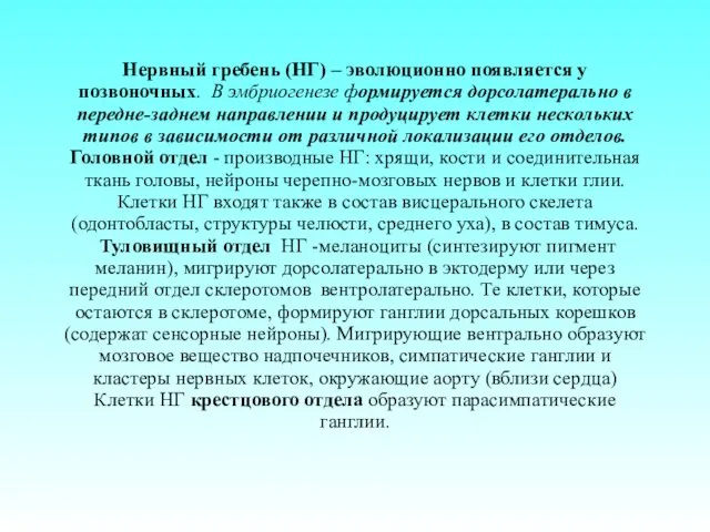 Нервный гребень (НГ) – эволюционно появляется у позвоночных. В эмбриогенезе формируется