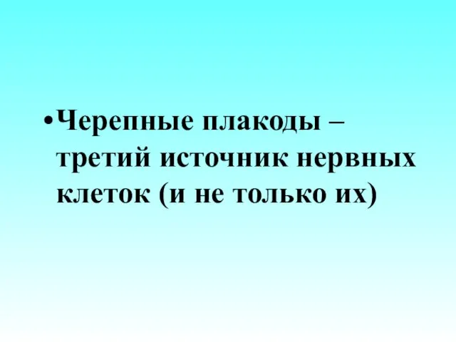 Черепные плакоды – третий источник нервных клеток (и не только их)