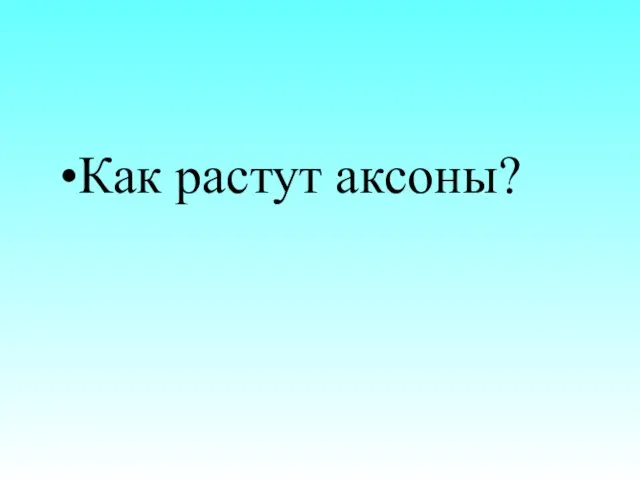 Как растут аксоны?