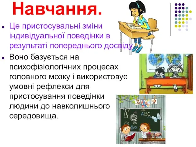 Навчання. Це пристосувальні зміни індивідуальної поведінки в результаті попереднього досвіду. Воно