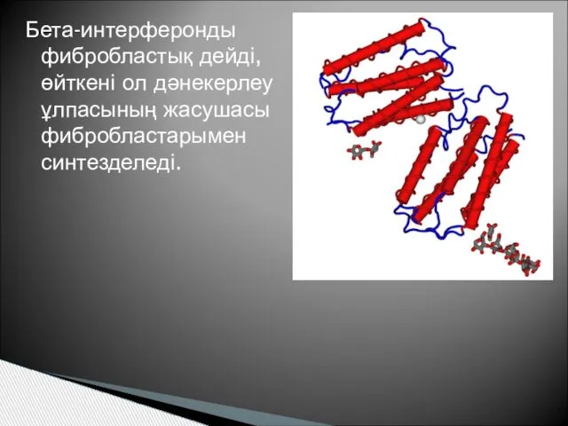 Бета-интерферонды фибробластық дейді, өйткені ол дәнекерлеу ұлпасының жасушасы фибробластарымен синтезделеді.