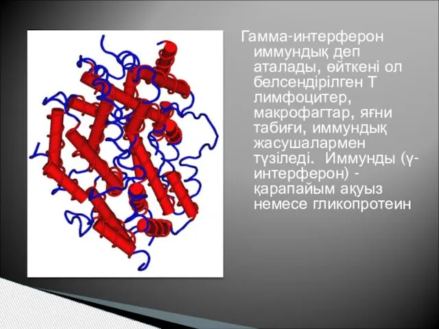 Гамма-интерферон иммундық деп аталады, өйткені ол белсендірілген Т лимфоцитер, макрофагтар, яғни